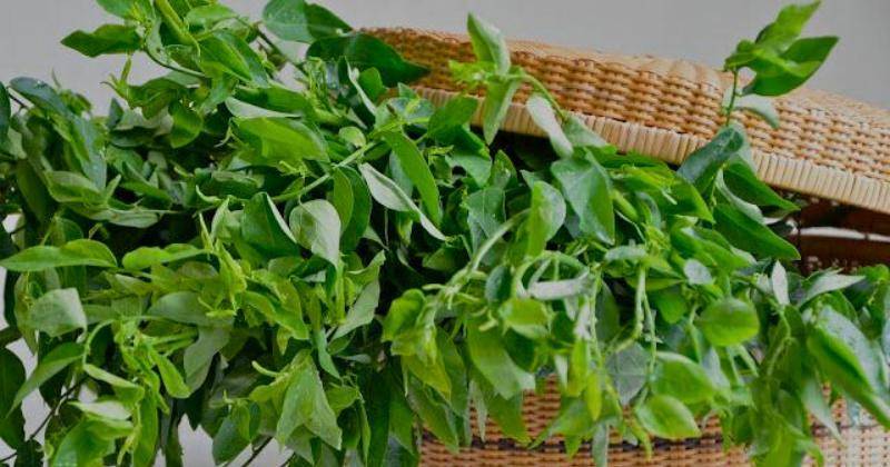 Pinterest/indonesianmedanfood